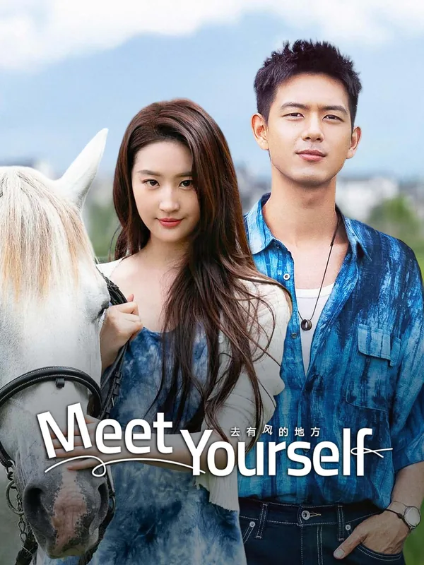 Meet Yourself (去有风的地方) poster